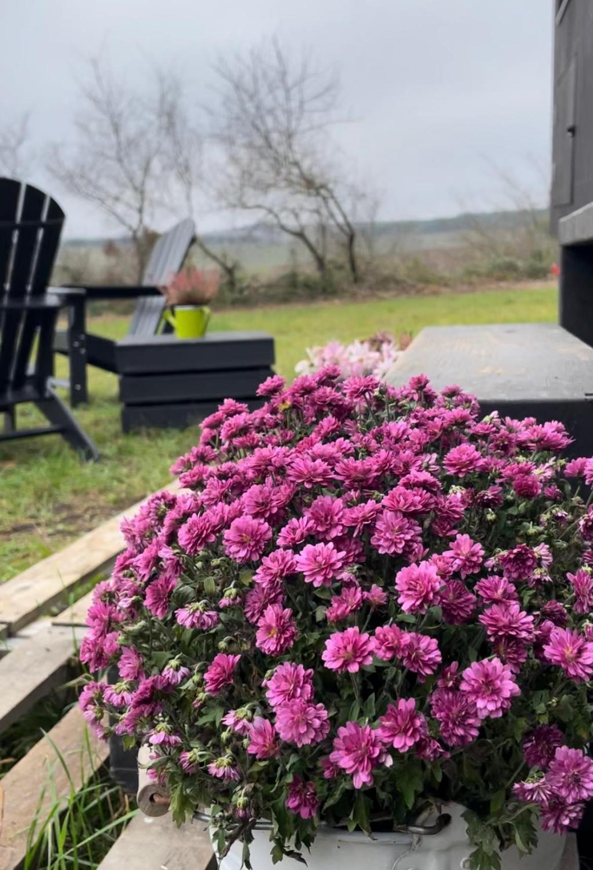 L'Envolee Ecolodge, Tiny House Au Coeur Des Vignes Loches-sur-Ource Exterior foto